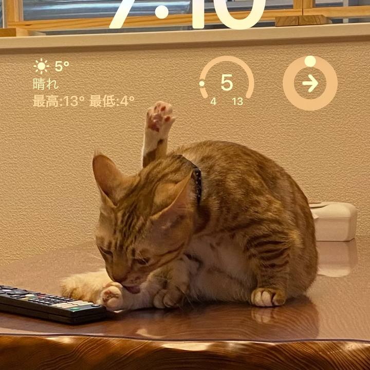 F4b621fa 6b41 46cb 90f4 cc1c3dfd2491 1679178359100