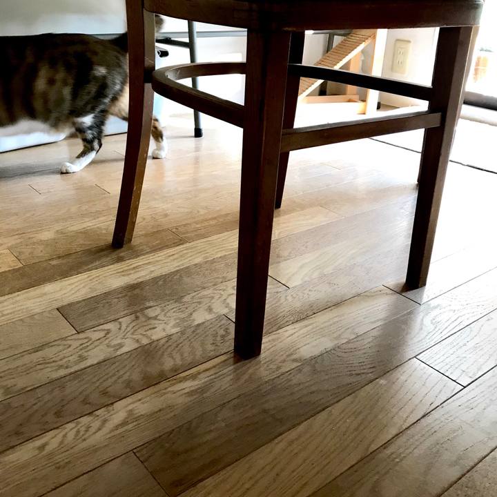 F4b633be 5c80 4673 8678 121e0dacb81f 1512975645716