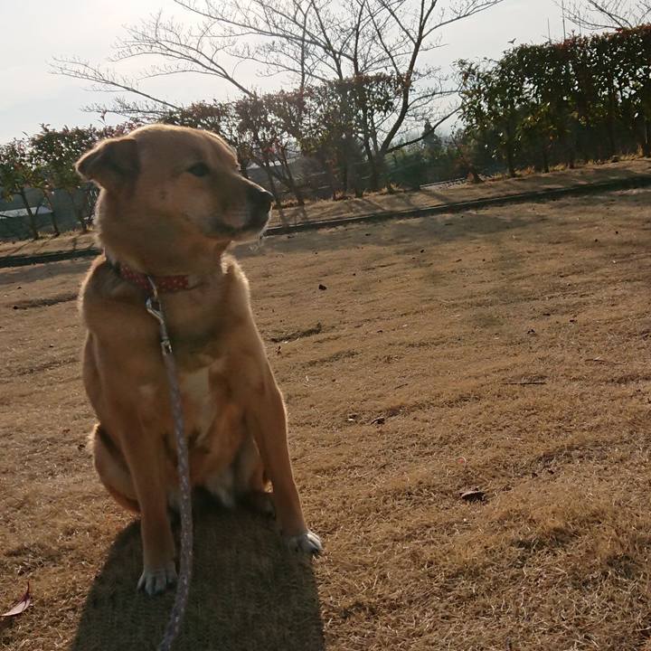 F4b64d0a 8906 49b6 8a25 d3b5ae59d0e6 1583667627081