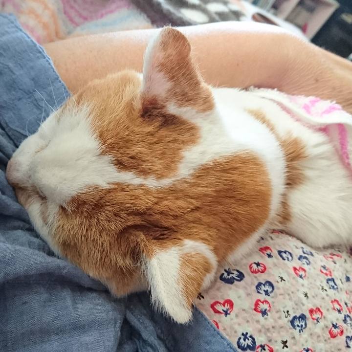 F4b64ff3 91f3 4303 8803 57d3f0c6f622 1600578366222