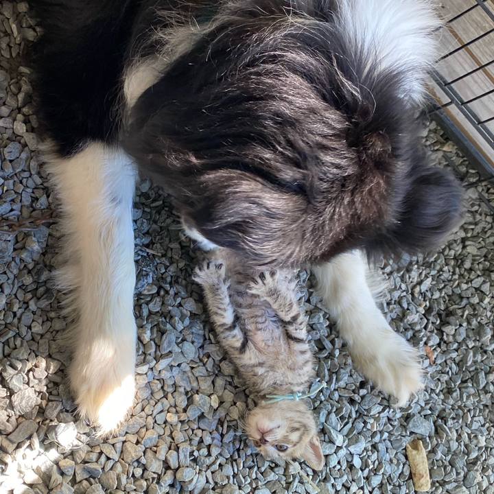 F4b65216 058e 44a7 b5e2 ef9a5cd3aaaa 1597452771244