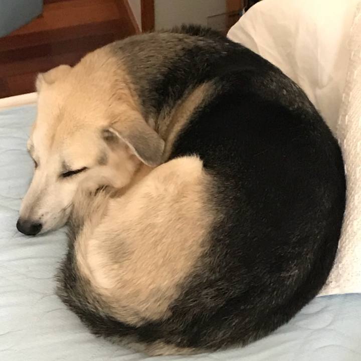 F4b66a80 3471 4a68 957c 33103cd2b3cb 1543639784530