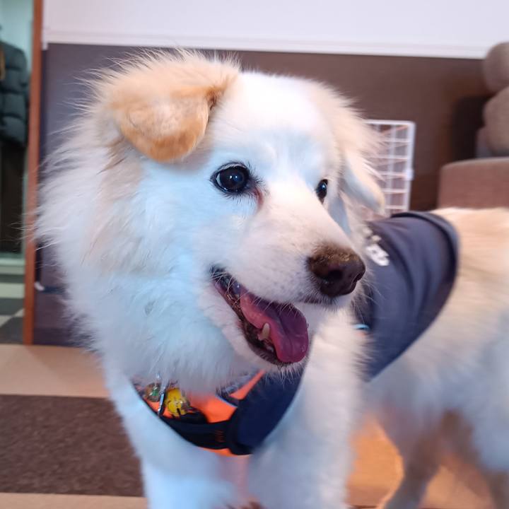 F4b67d14 4f53 470b 8d36 2574865b43c4 1735011647642