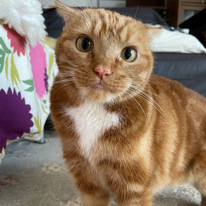 F4b6852a 7c38 4c36 a8c8 ec811aeaea8f 1627013023634