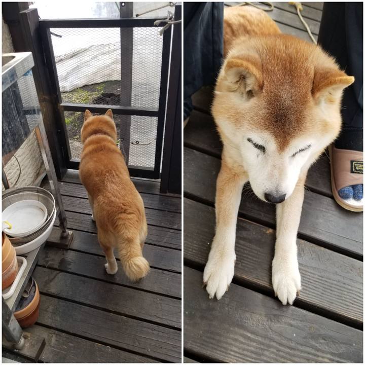 F4b6900b 15ba 4ae4 af8a 9feb3a4e46e1 1743118657463