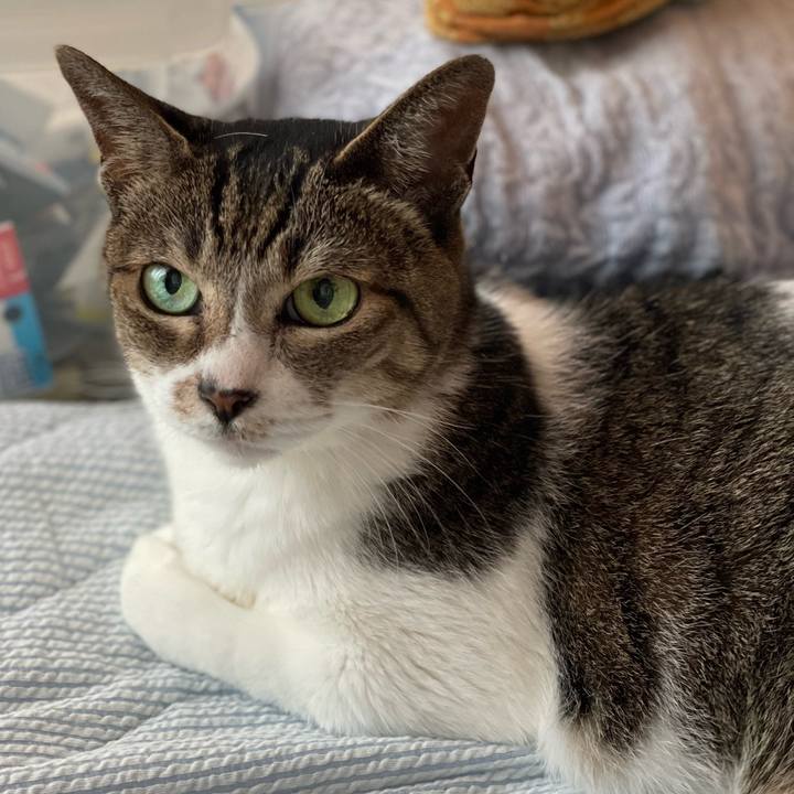 F4b692a0 e9cb 4164 b834 0cf5b1255f77 1660615215084