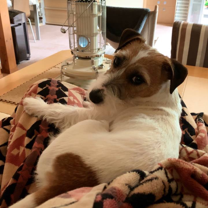 F4b6a4eb d125 4841 9aa3 7b8d8b48cdc6 1587358453911