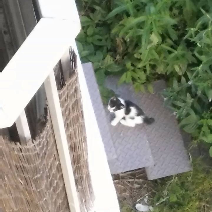 F4b6bc1d bd84 46ae b48e a638f4e5fd72 1527331573891