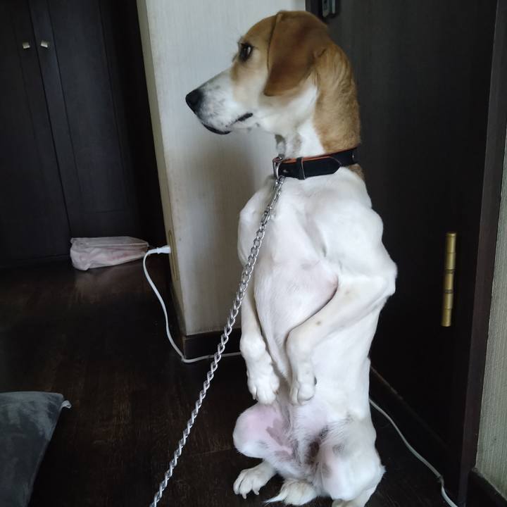 F4b6cc4e 7f3e 44c7 bf48 0cfb5767123d 1620221706259