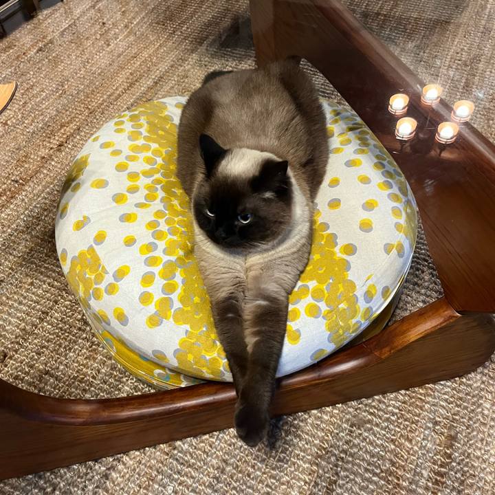 F4b6ef89 39f0 48fa 9382 5be99c697a6c 1653185687635