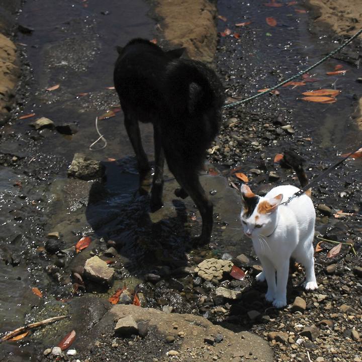 F4b72989 9ead 4e51 9007 6e9c4050d177 1562472253551