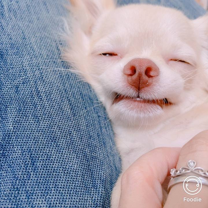 F4b73b45 5d31 4ada b062 c8874a172980 1600238051671