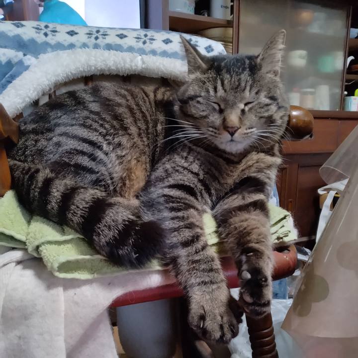 F4b76415 44dd 4300 a670 1c69e1f07a88 1679353506066