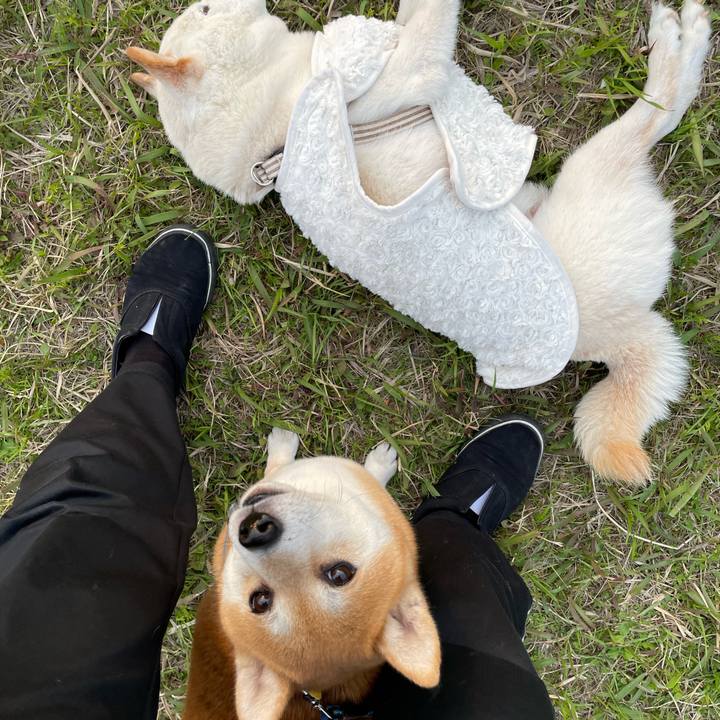 F4b79482 3569 4507 8db0 f3c573c65b54 1648901794856