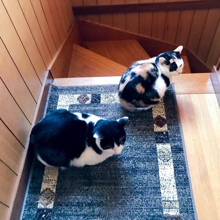 F4b7b4ec c510 4f0e a10b 5c158b1ffa53 1509855758022