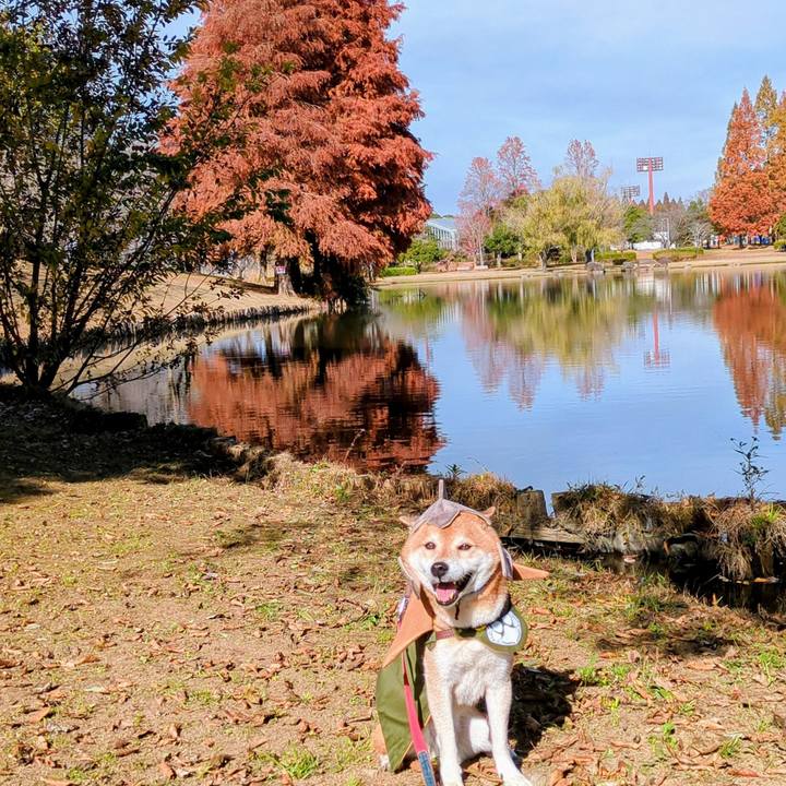 F4b7f64b 2ff5 4f47 bb53 a518906df1df 1763978532550