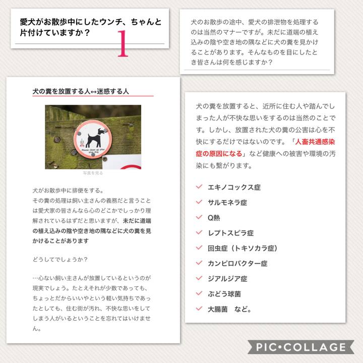 F4b817e7 ab97 4484 a5e6 f9283dd15c3e 1531115124260