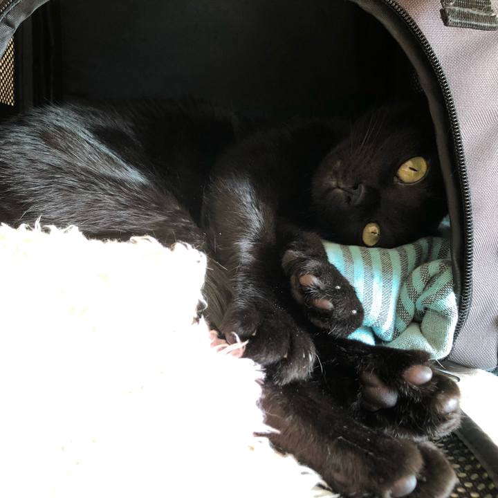 F4b81b61 a75d 4ac0 b376 8fdeb87b093e 1552001110414