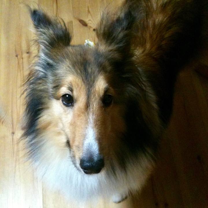 F4b83933 36c6 4bf7 a27d f2c30c43bcf3 1530447084408