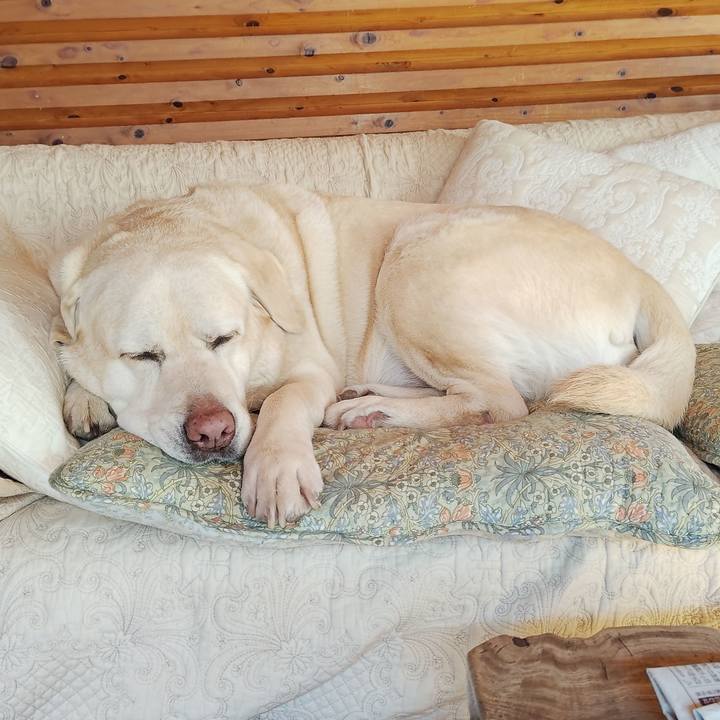 F4b87aba 0c50 40b1 adb2 233b677cebe1 1738034578049