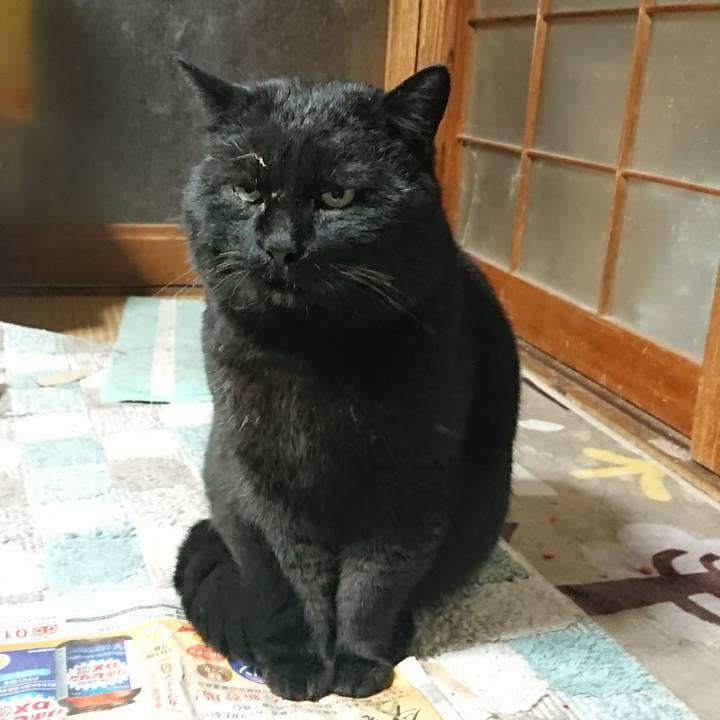 F4b88cee 240f 4a36 8f62 3fc3de306915 1646390099707