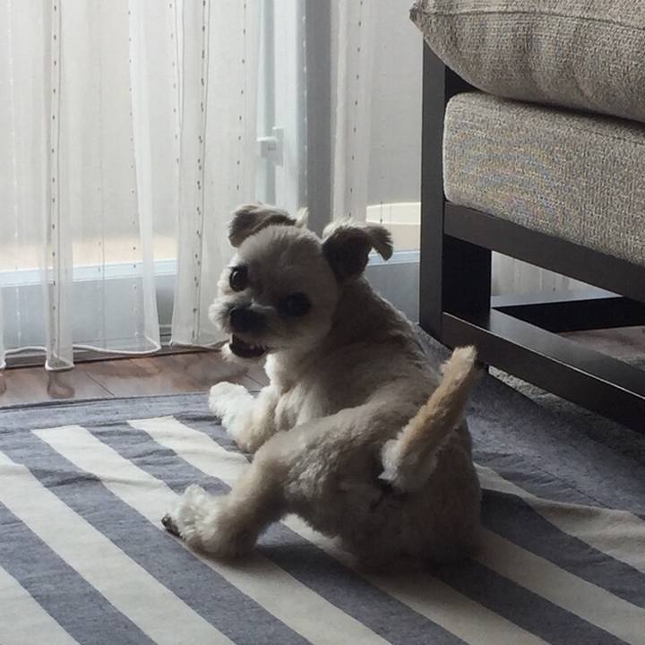 F4b89fc3 7d19 4969 acb6 ac2e8a34144a 1534855110799