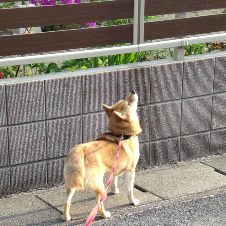 F4b8b47c 46fe 4c7a 8338 c626e5ef44c2 1650320023412