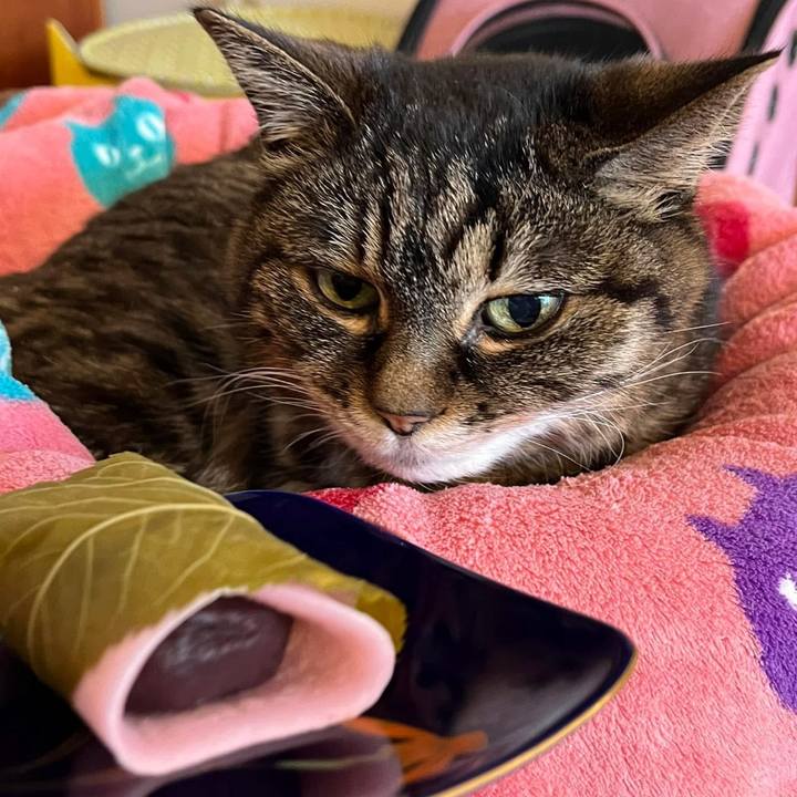 F4b8bb19 df0b 4789 8a9f d30f9f30df37 1772545258587