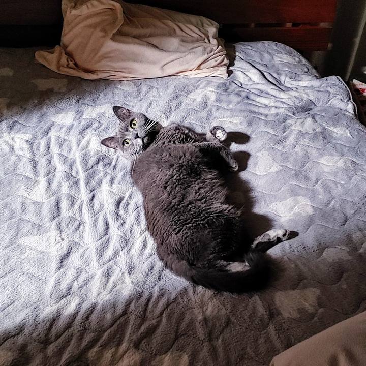 F4b8d4cb 7791 48f0 96c7 3da4c8124ef7 1734047462751