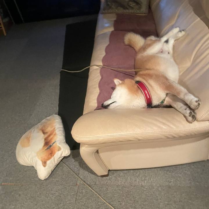 F4b8dc4b 0417 408e 8223 e44588046557 1729254858045