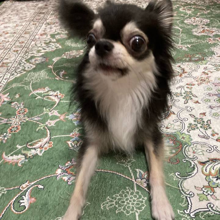 F4b90da6 b676 4711 8c31 7b7df55113c5 1664029822929