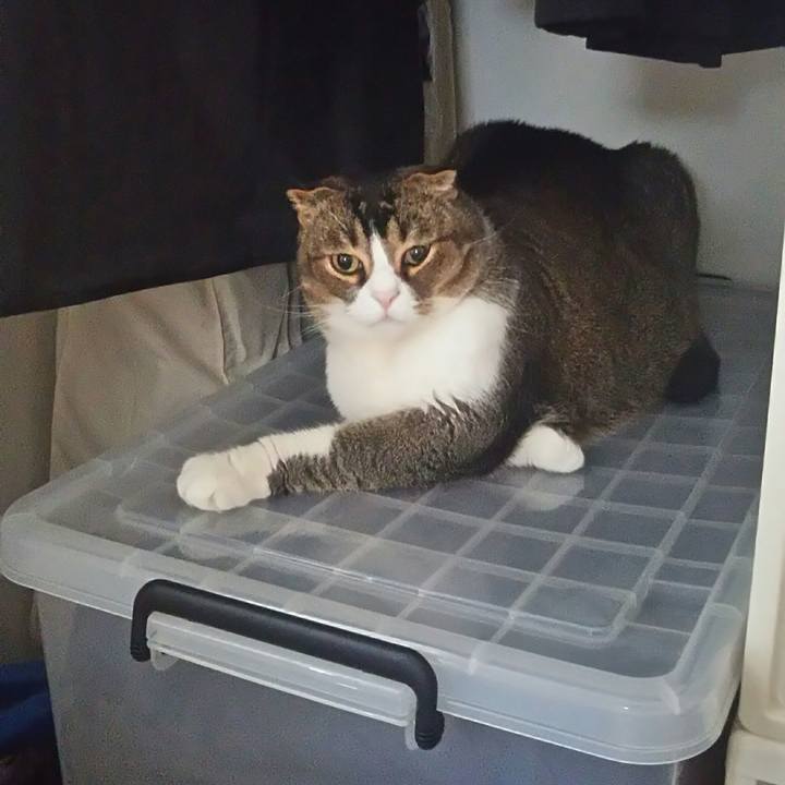 F4b93320 f924 45cc 93b4 c65ea8c2d487 1525312122247