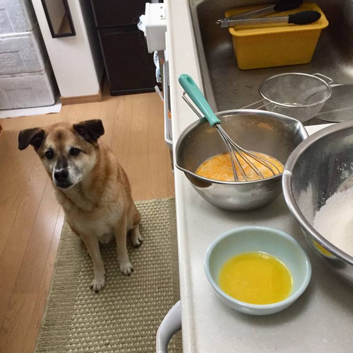 F4b9635d 688f 4d42 a6fd fa21b2d28aa1 1589075993446