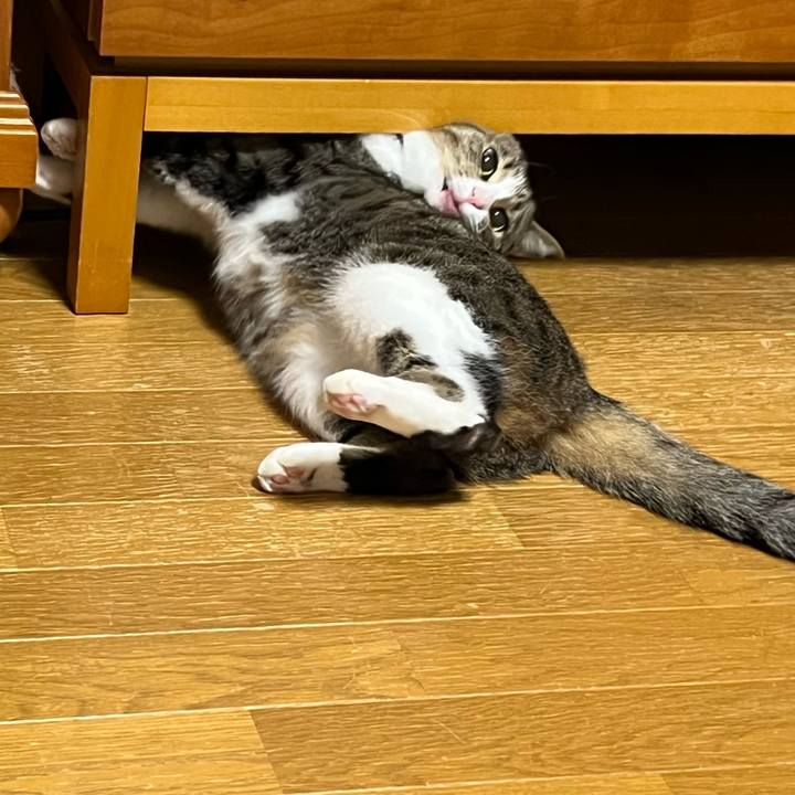 F4b96507 92e7 44a2 97b8 cb89dcdf8d48 1773792125299