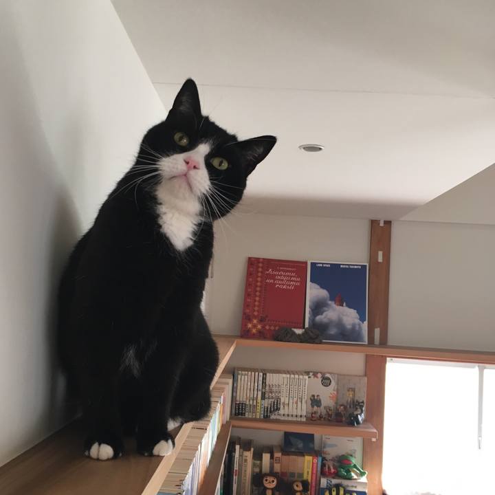 F4b97b64 34c4 46e3 ba18 7b2641290184 1545953306355