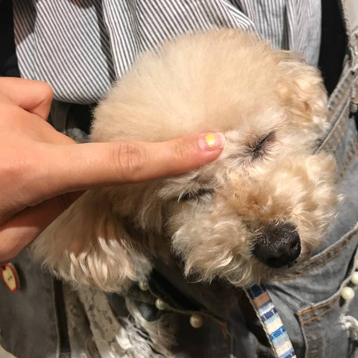 F4b9966e cd69 44eb 908e c1c5d3692b79 1529850373972