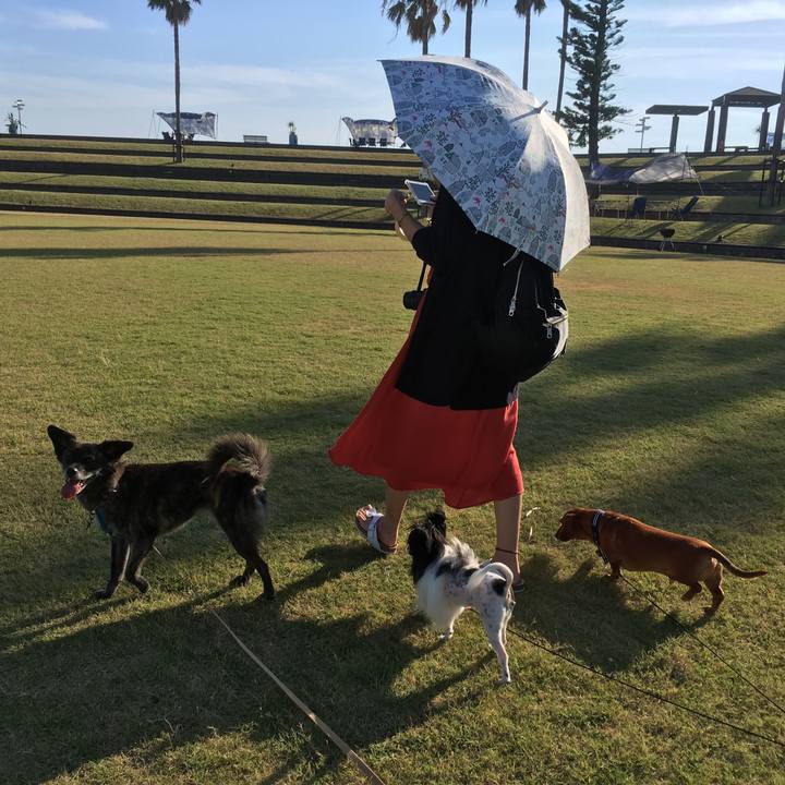 F4b9eef4 9686 41b4 a505 faa6e4aeb511 1533518381045