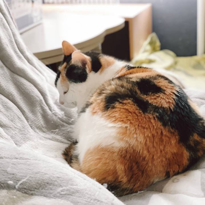 F4ba2256 b61a 477d 9fc2 720b30bdca5f 1555295002693