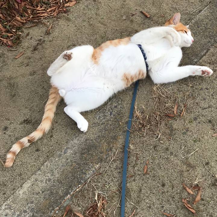 F4baaf58 7b97 4bff 92c9 d6a8e2d4c195 1512705747165