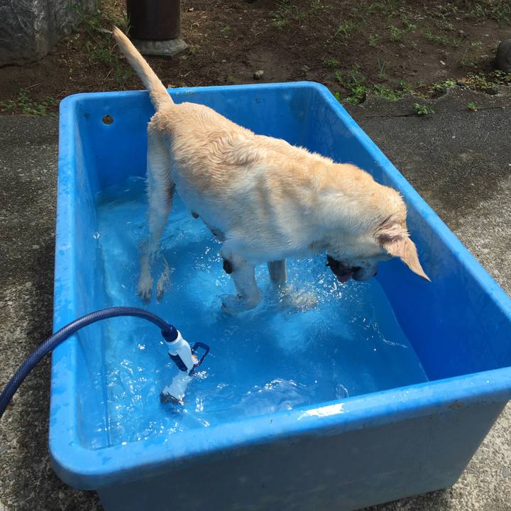 F4bacd29 5eec 4049 9284 28ce59748e96 1534213907319