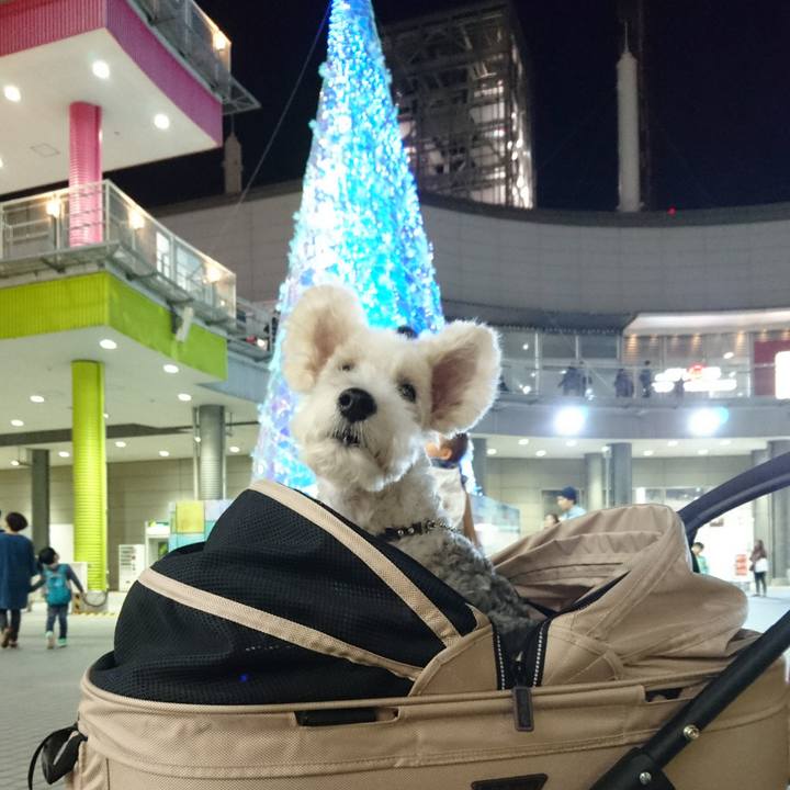 F4baf77f d64d 4045 9e24 39197fb2e086 1509710691028