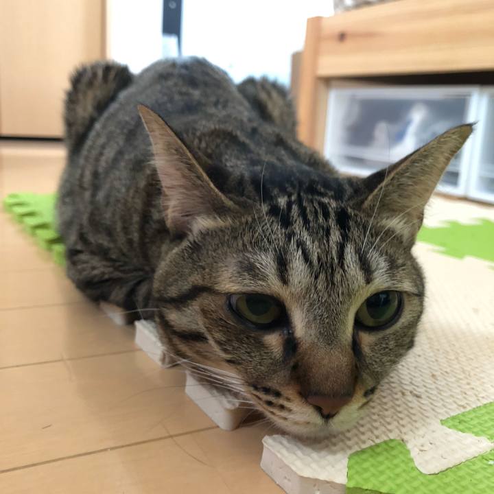 F4bafc99 0755 4f71 9f74 640d4bc036d1 1548427138116