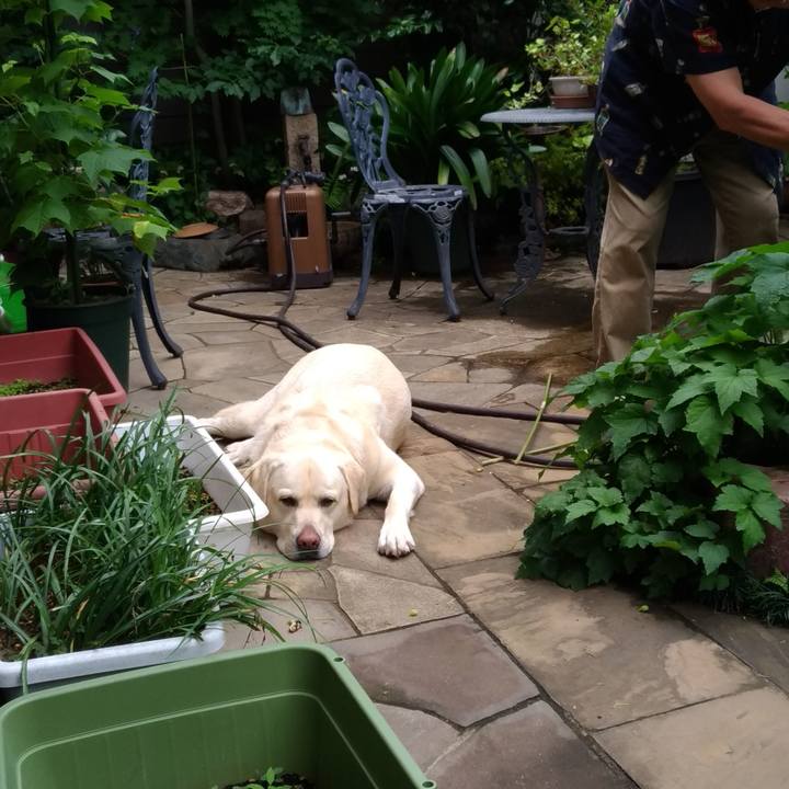 F4bb0c04 1049 40cc bffd 6f65d8423309 1621664208563