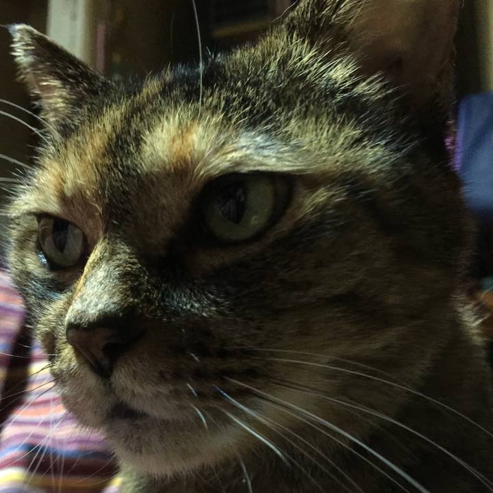 F4bb3f78 4bac 440a 9601 eaa49ea3378b 1544005227868