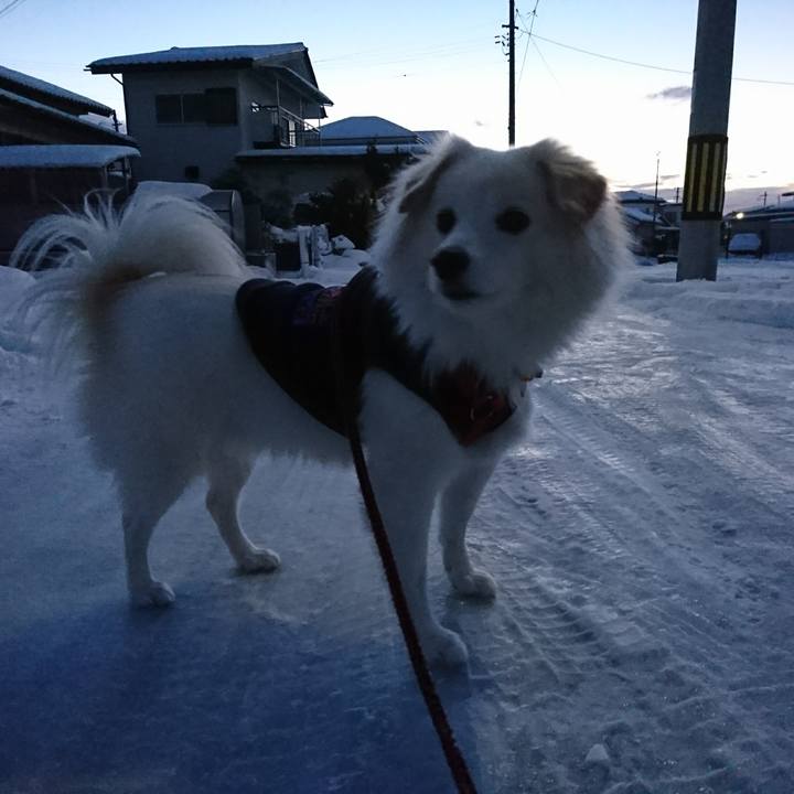 F4bb690a f1a8 41ed 913d af59d8abda94 1514497217236