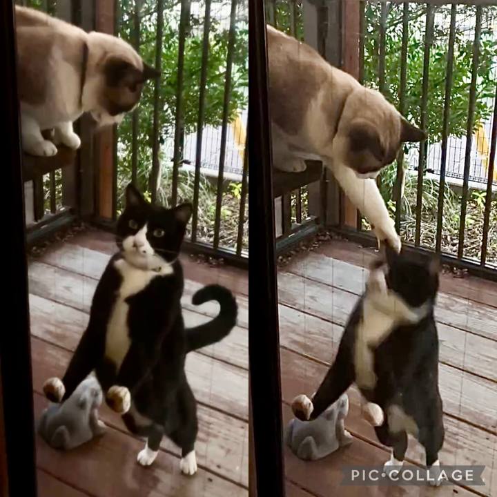 F4bb97c4 cadf 4439 a5e2 5f68921aee98 1732958772878