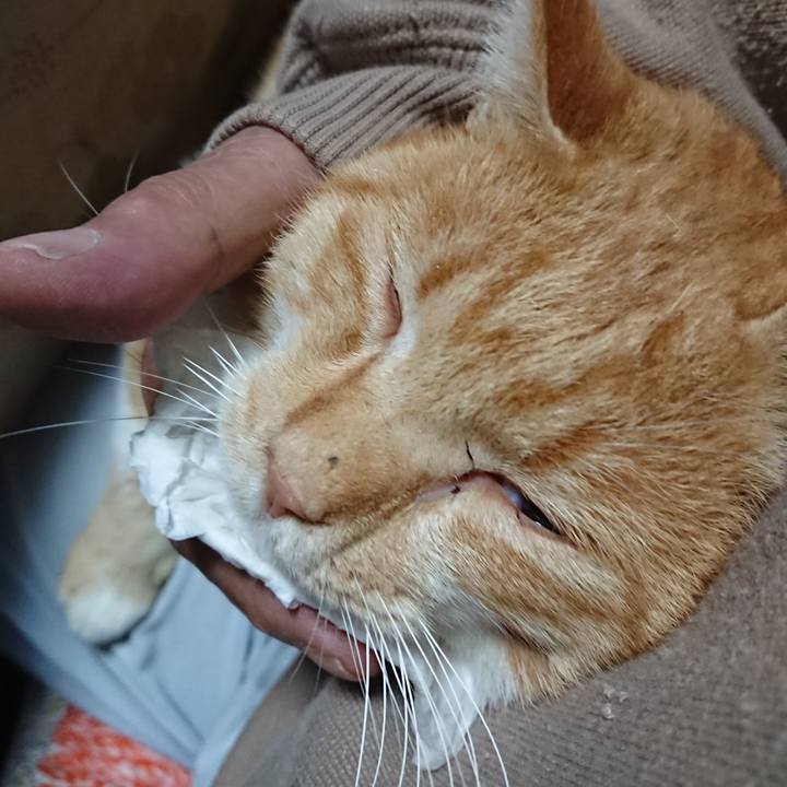 F4bbad8a 8b86 4852 bfea c95744c47cb8 1572986982767