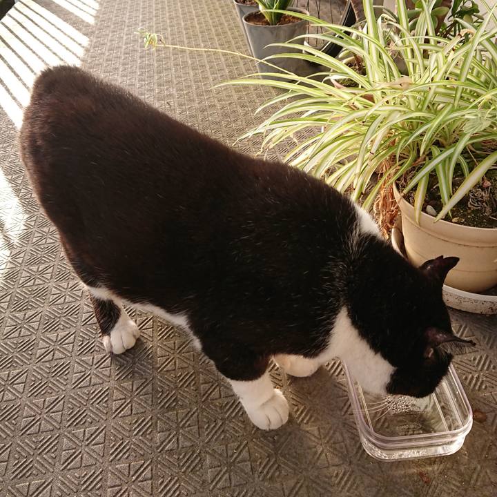 F4bbcf98 f515 4e97 a370 5ce2d5308905 1658699880651