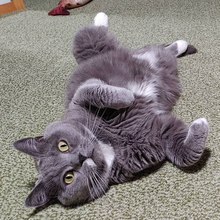 F4bbd1fc 173d 4c3c 8ef7 86950aad67e5 1682075733720