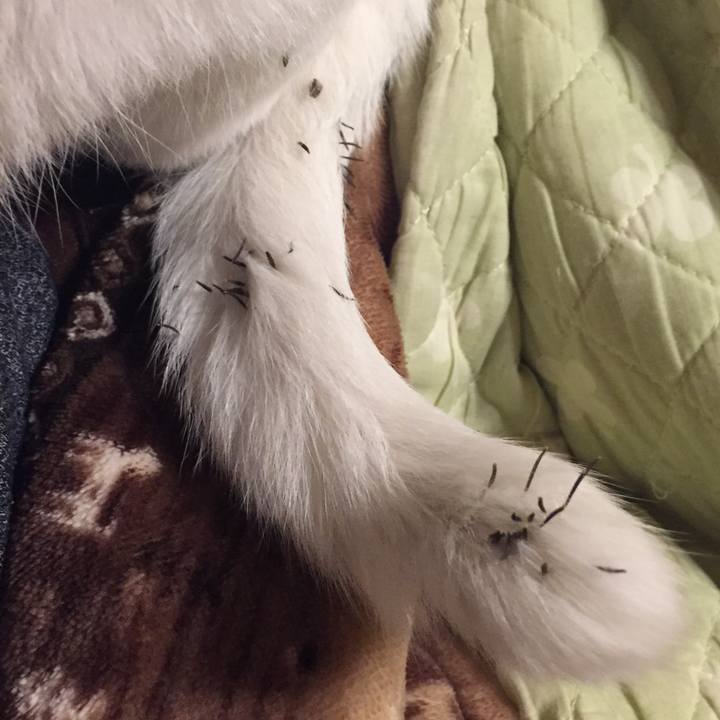 F4bbe88a e4a7 4eb1 b72d 95b89b8db2db 1543575328404